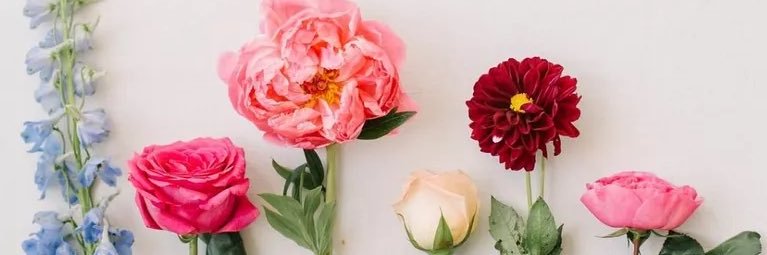 AmandaRileyMBE's profile banner image