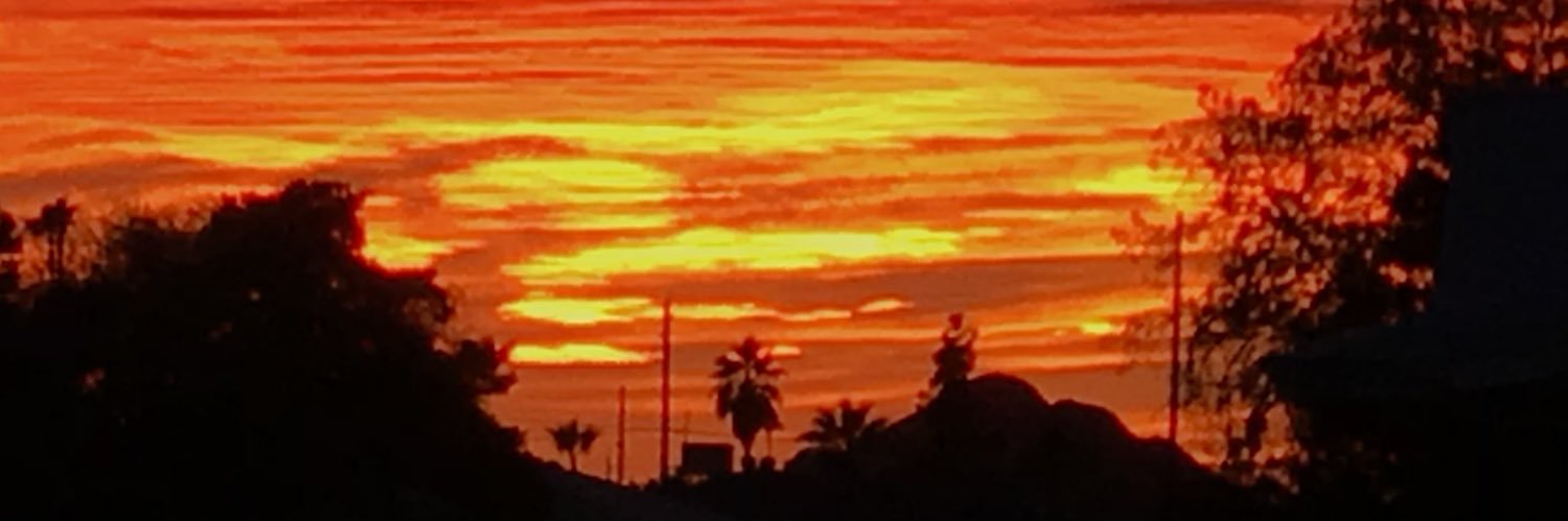 lily banner