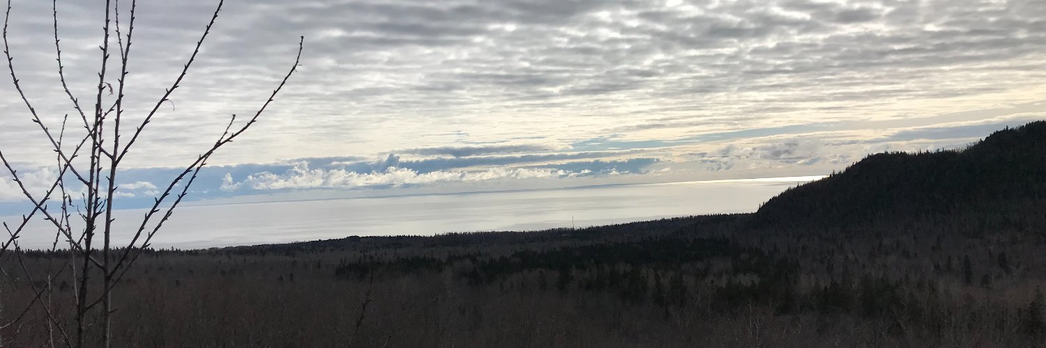 k8teece's profile banner image