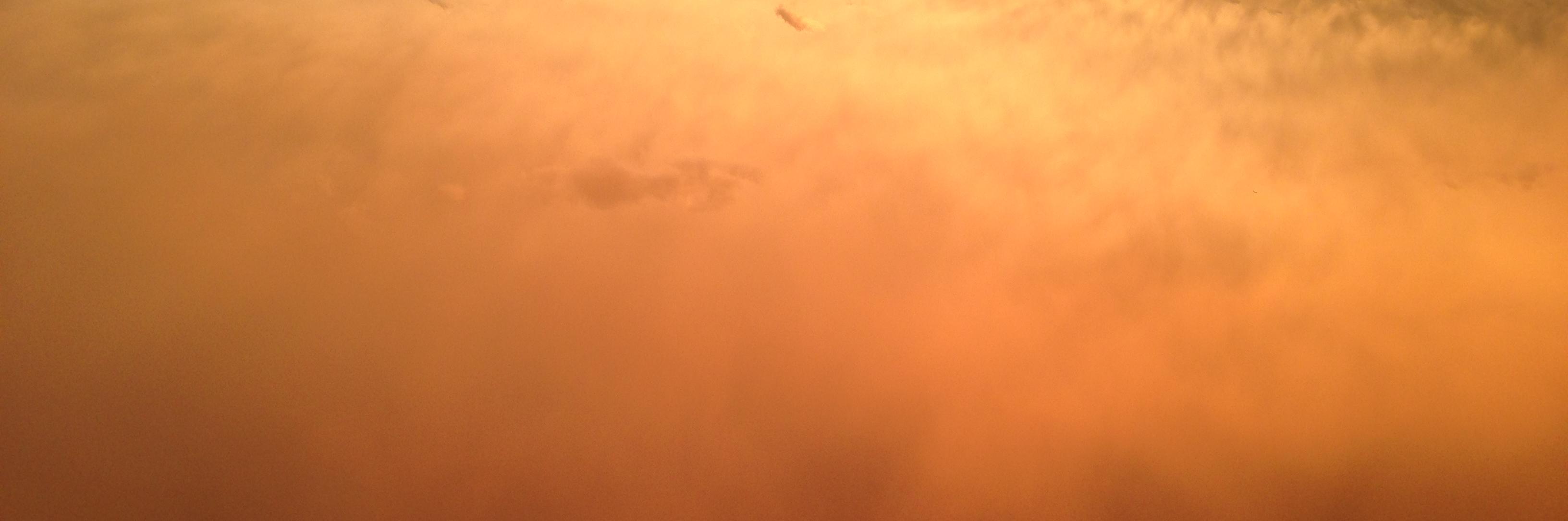 eltuche99's profile banner image