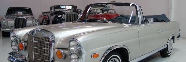 NYC Based Event & Promo 👑 banner