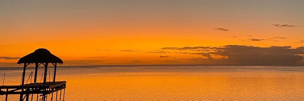 AadamHaladh Profile Banner