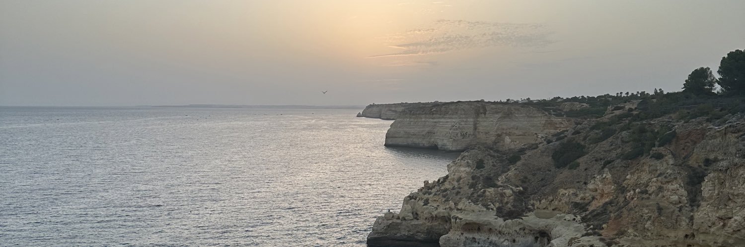 Gerry McGonagle banner
