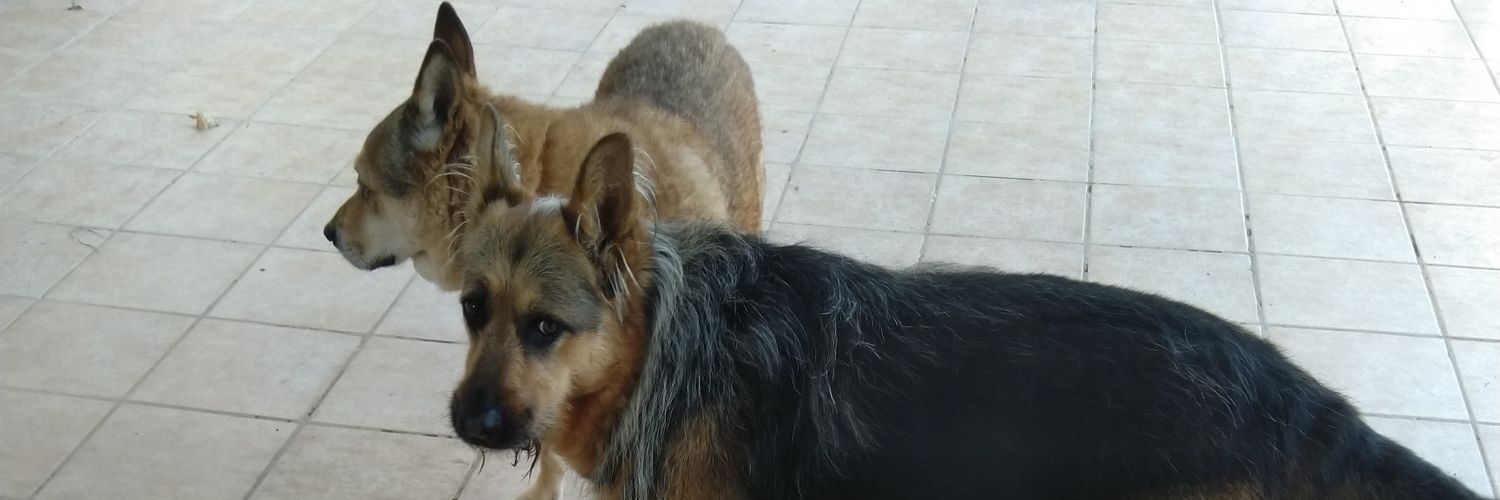 Maria Outeiro banner