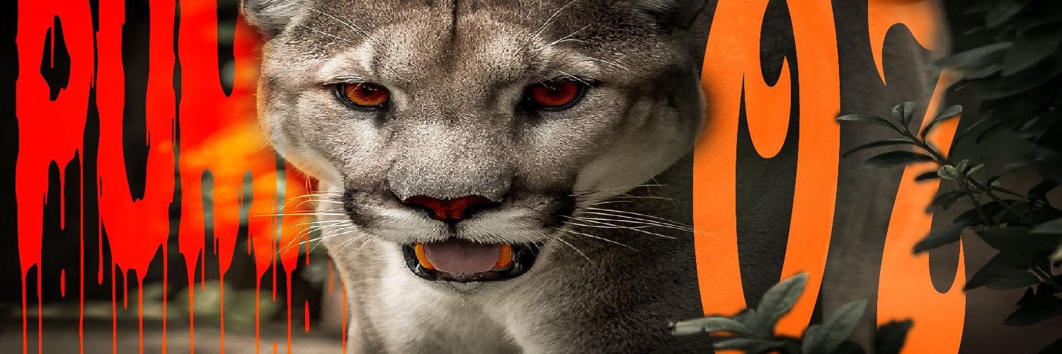 Twitter banner for @puma07pc