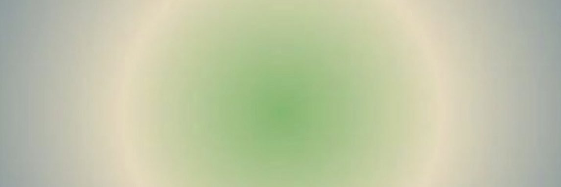 wewillcalluback's profile banner image