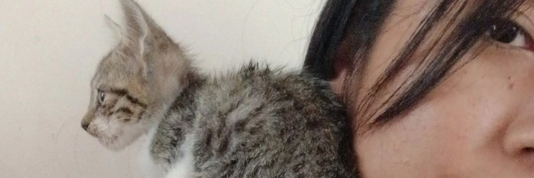 _aldisanchez_'s profile banner image