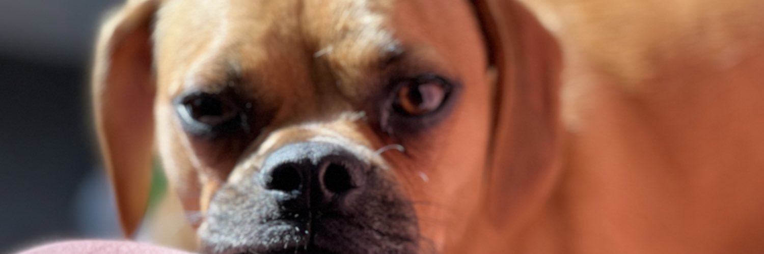 CarolineEasom's profile banner image