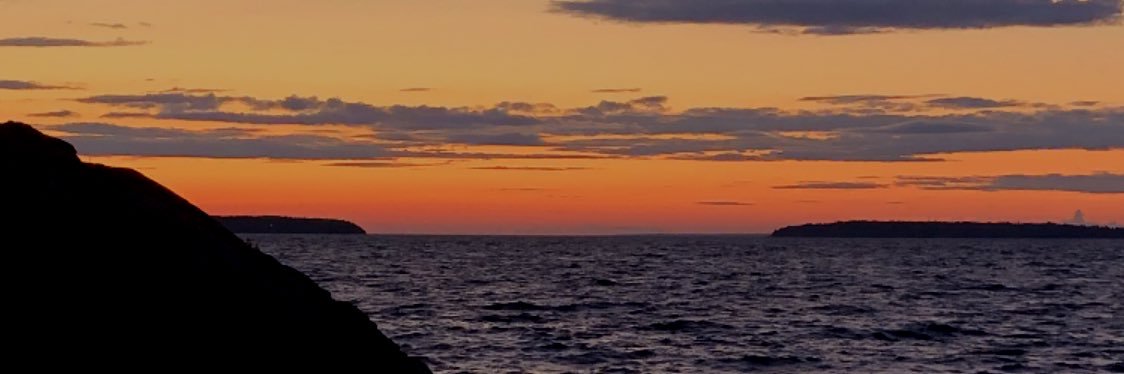Scott banner