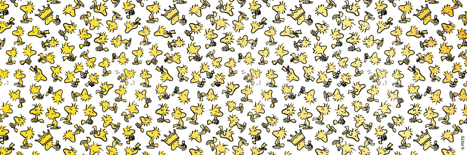LupeHURRA's profile banner image