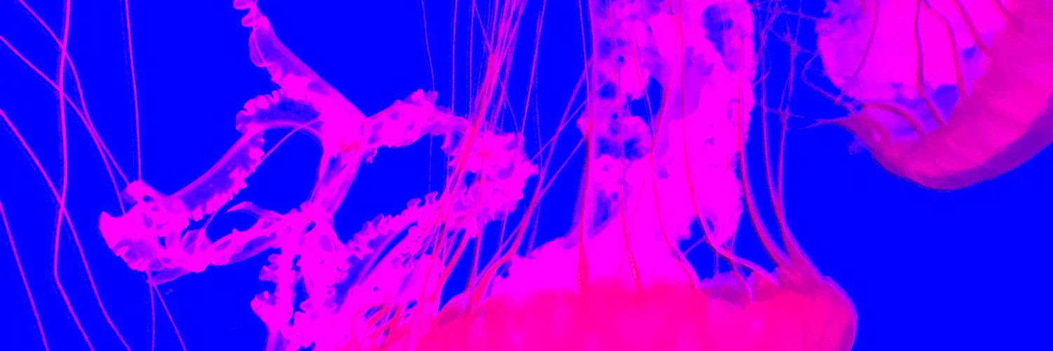 TechMonitor banner