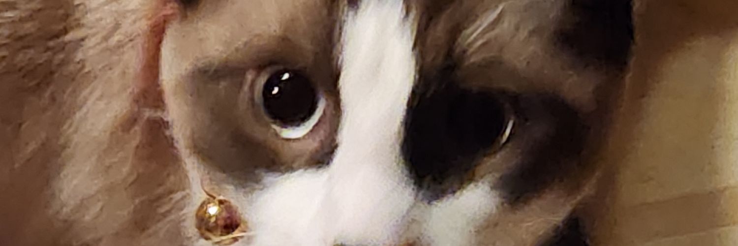 Gracsis | Cameron banner