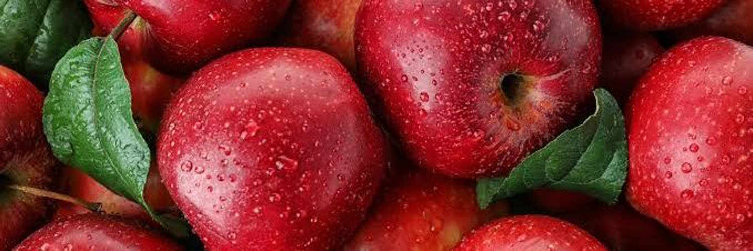 Susan Fortier banner