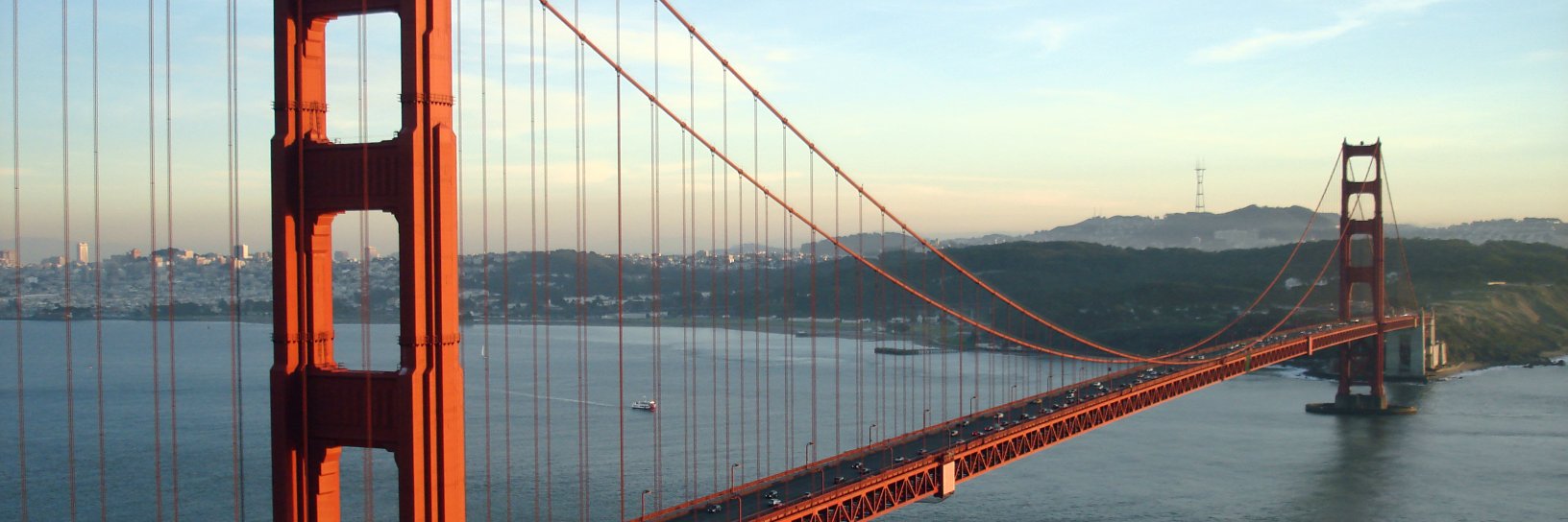 Janni Lehrer-Stein banner