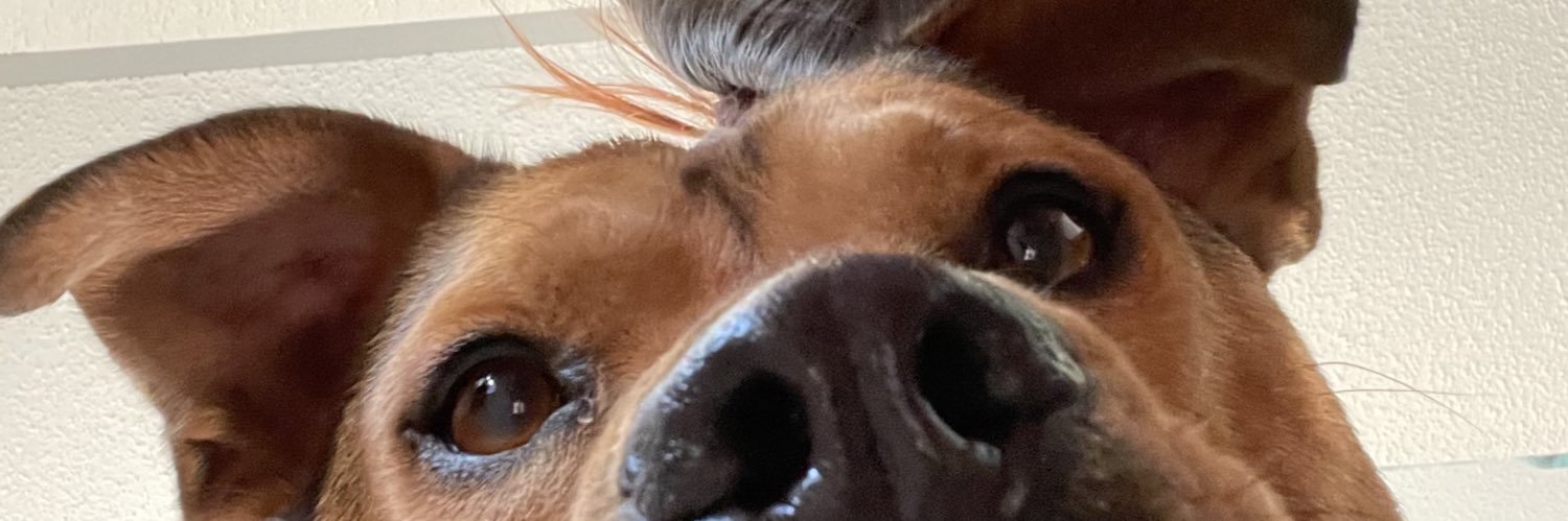 abbyrow27's profile banner image