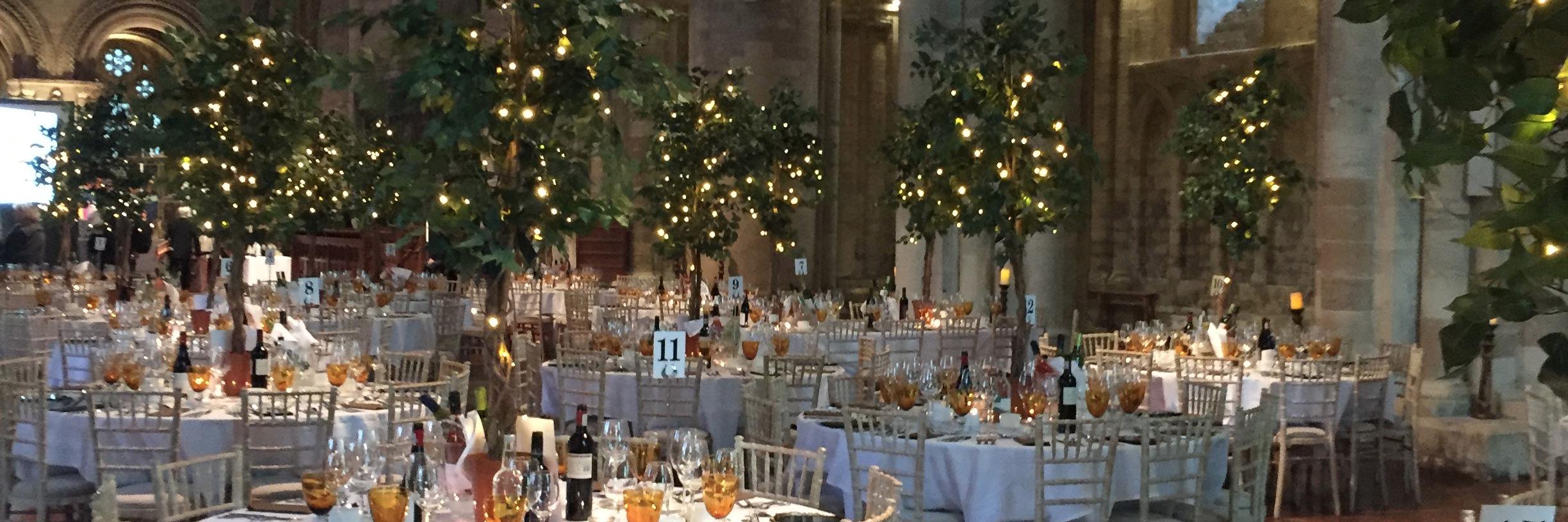 PearandGinger banner