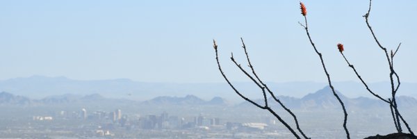 Caitlin_Sievers Profile Banner