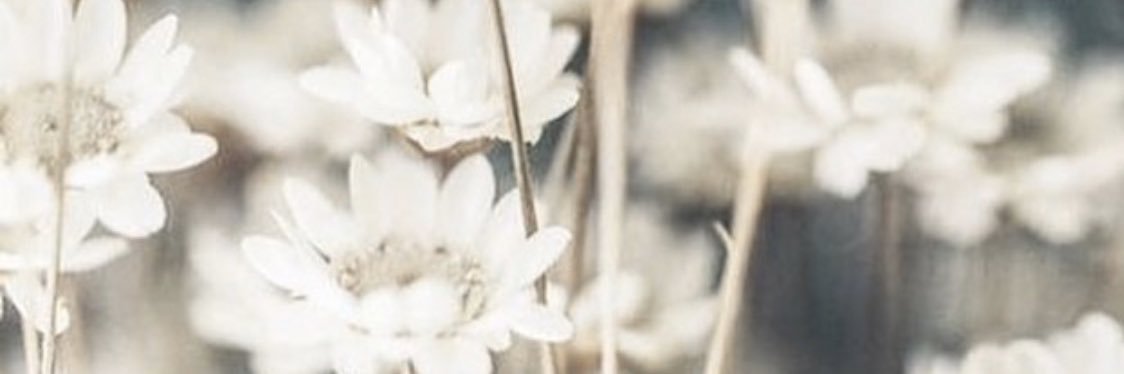morgmataraz's profile banner image
