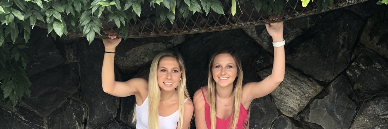victorialei5's profile banner image