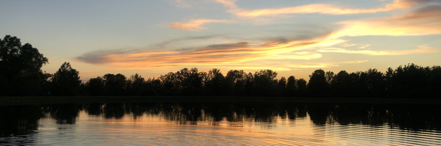 nathan_carp's profile banner image