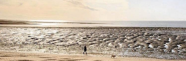 Michaela Midwinter banner