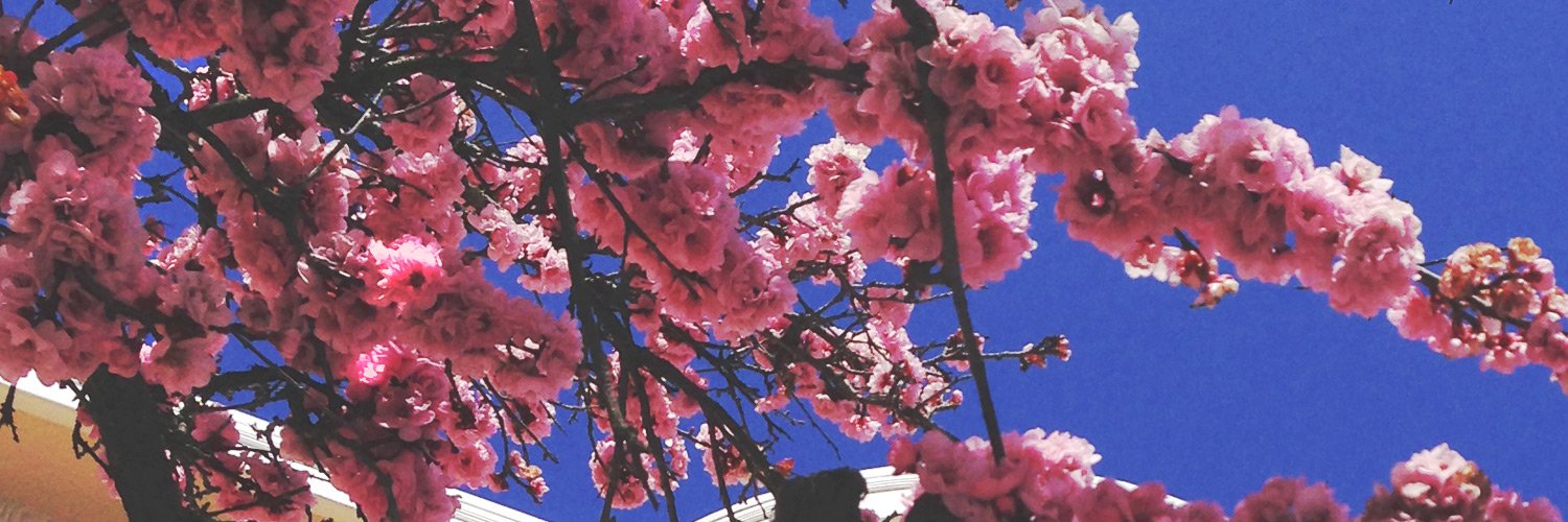 nereimay's profile banner image