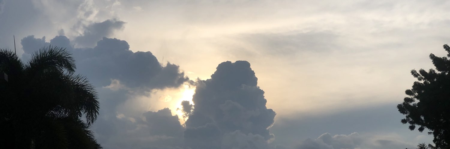 Manuel Avelino Da Silva banner