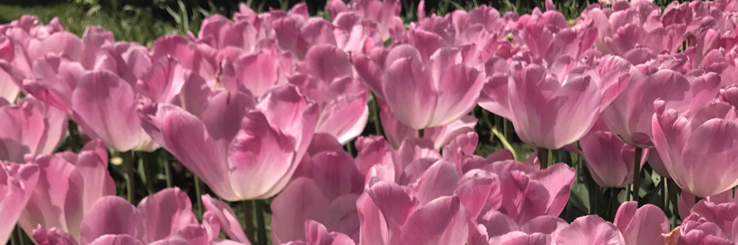 nicoledfrank's profile banner image