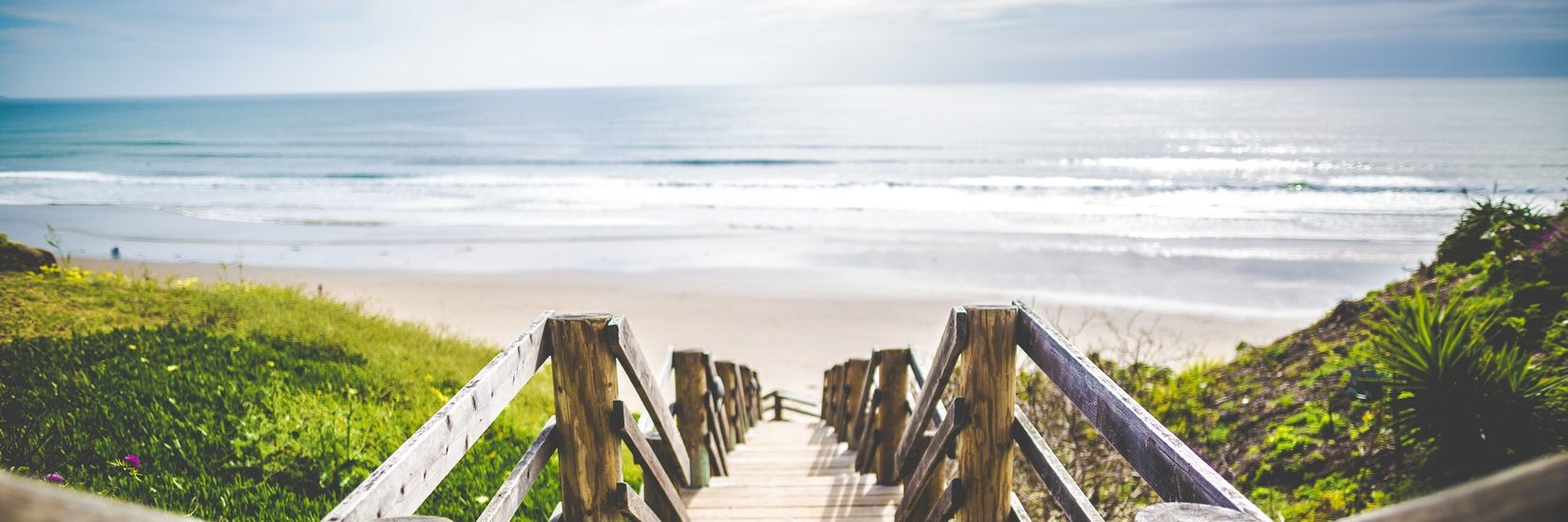 Casey Frick banner