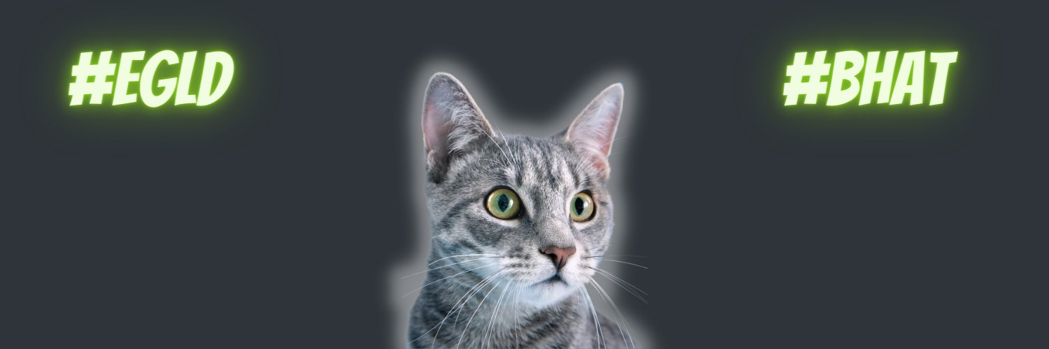 Deborah Rogers⚡️🎩🚀 banner