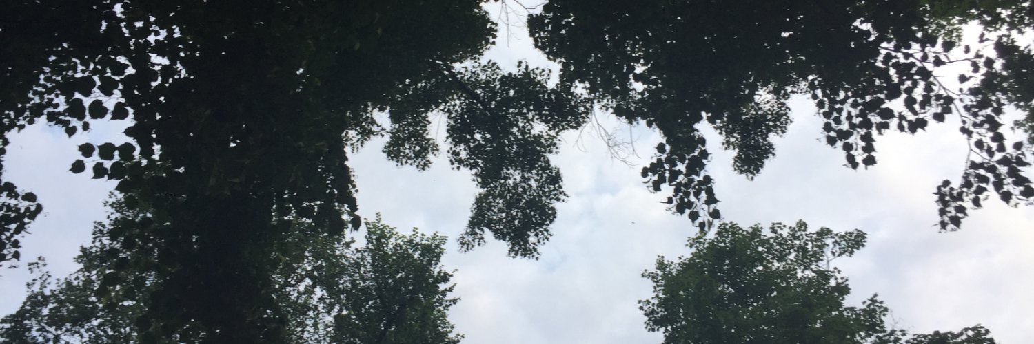 palindrolmes's profile banner image