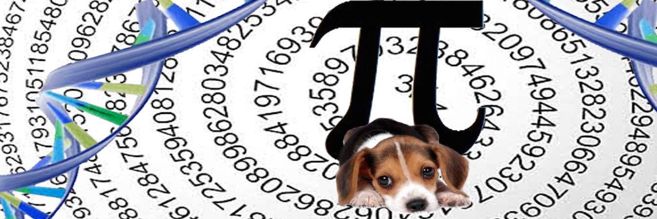 Felipe Albrecht banner