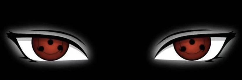 🐺Willou#TeamPPT banner
