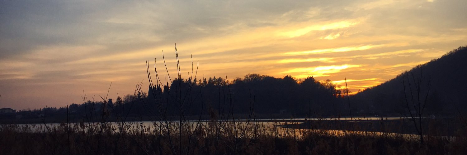 martavalbuzzi's profile banner image