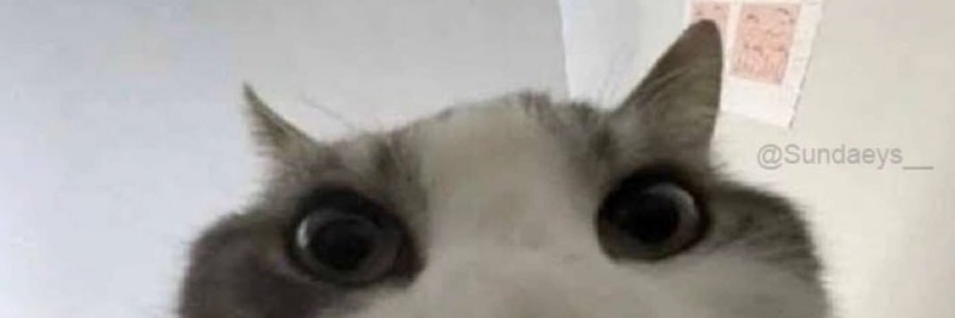 _grasonc's profile banner image