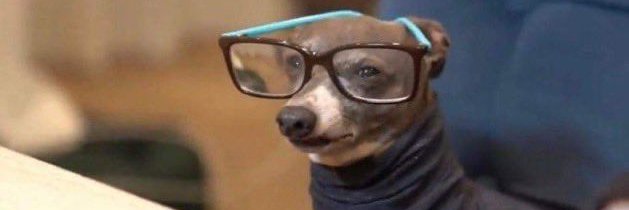 🇷🇺 NoHoes Hank 👨🏽‍🦲 banner