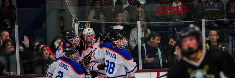 Marple Newtown Puck banner