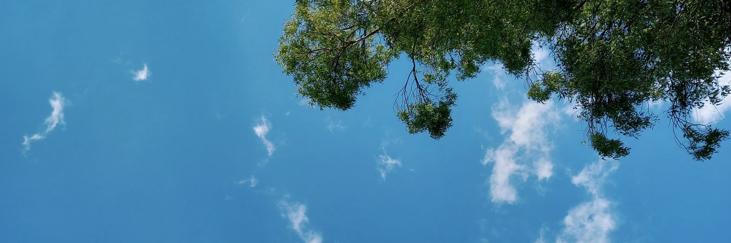 Genofabro1's profile banner image