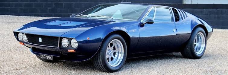 Fozzovsky Bimbi banner