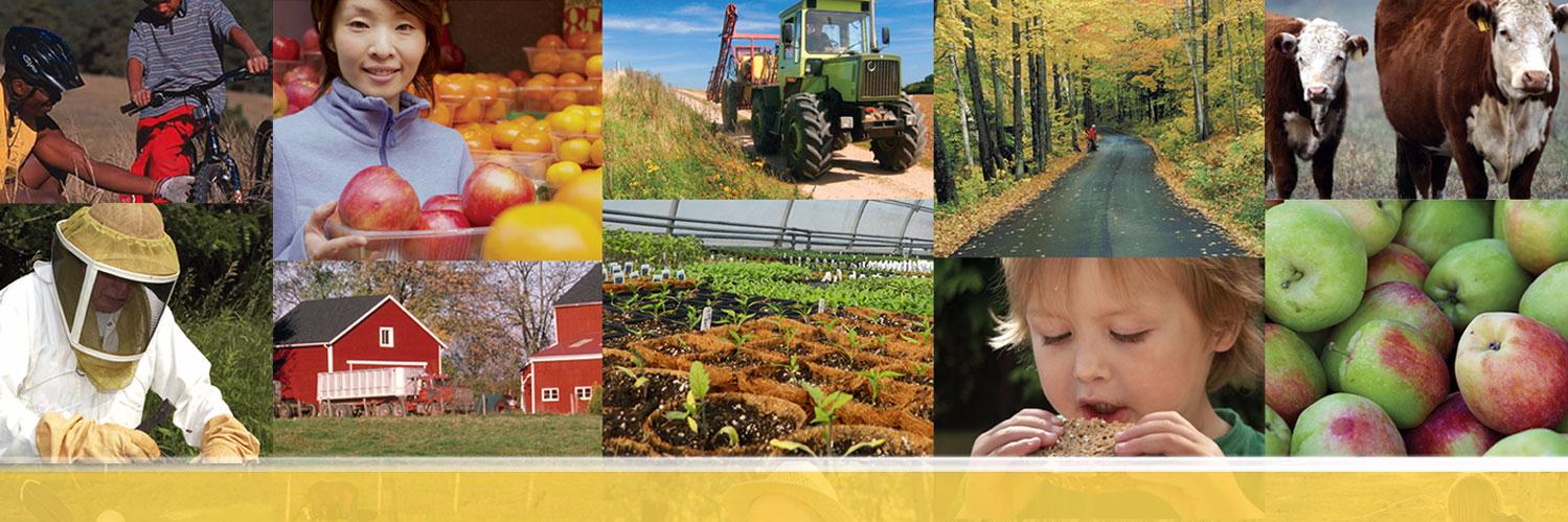 UVM Extension banner