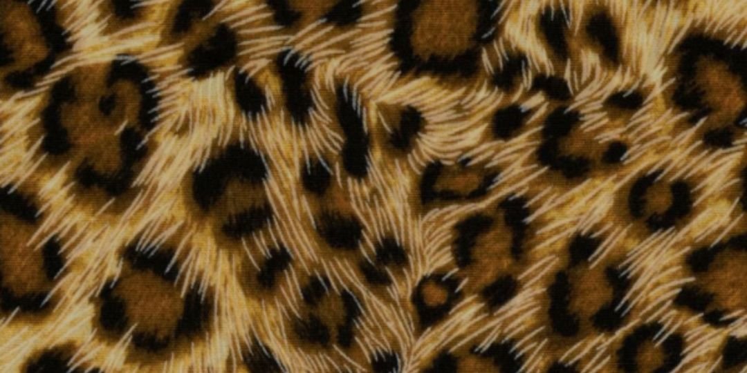 Meelbrow's profile banner image
