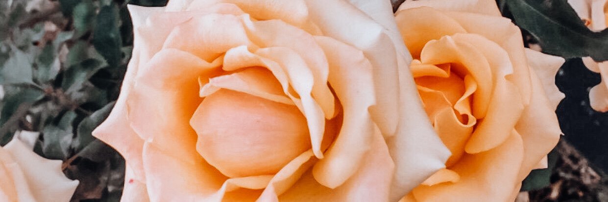 genecastilloag's profile banner image
