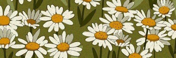 Velvetir913's profile banner image