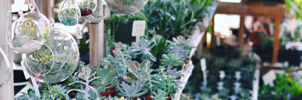 👩🏾‍💻 banner