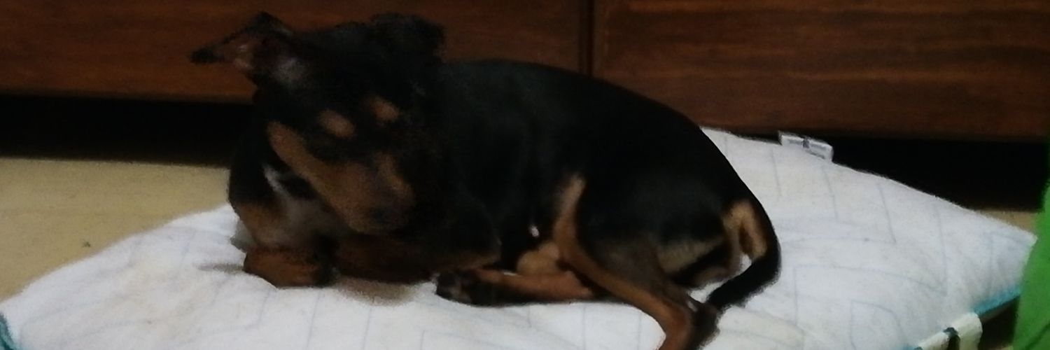 Suz99's profile banner image