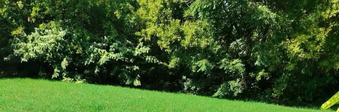 RavenAgbb31's profile banner image