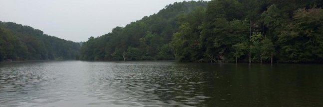 Miss. Lucia 🌸 banner