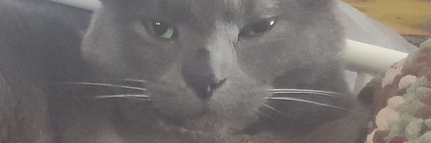 GabeSantohir's profile banner image