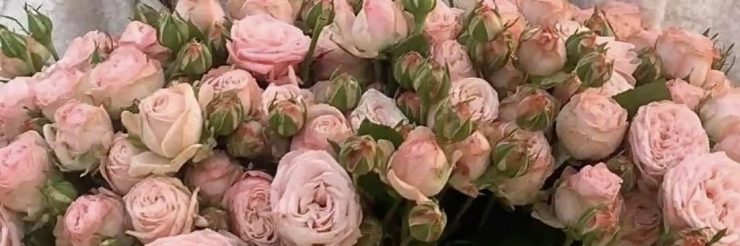 𝑅𝑎𝑑𝑖𝑎𝑛𝑡.. banner