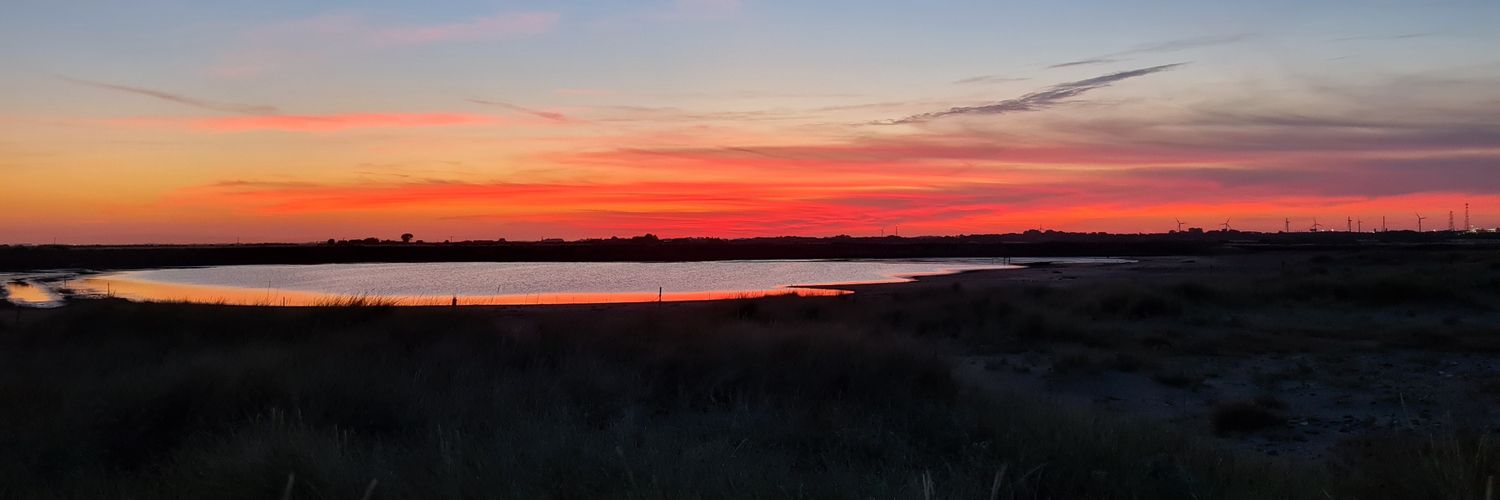 Georgia French 🐀 banner